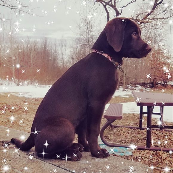 Meet your Posher, Laura - Picture 1 of 1